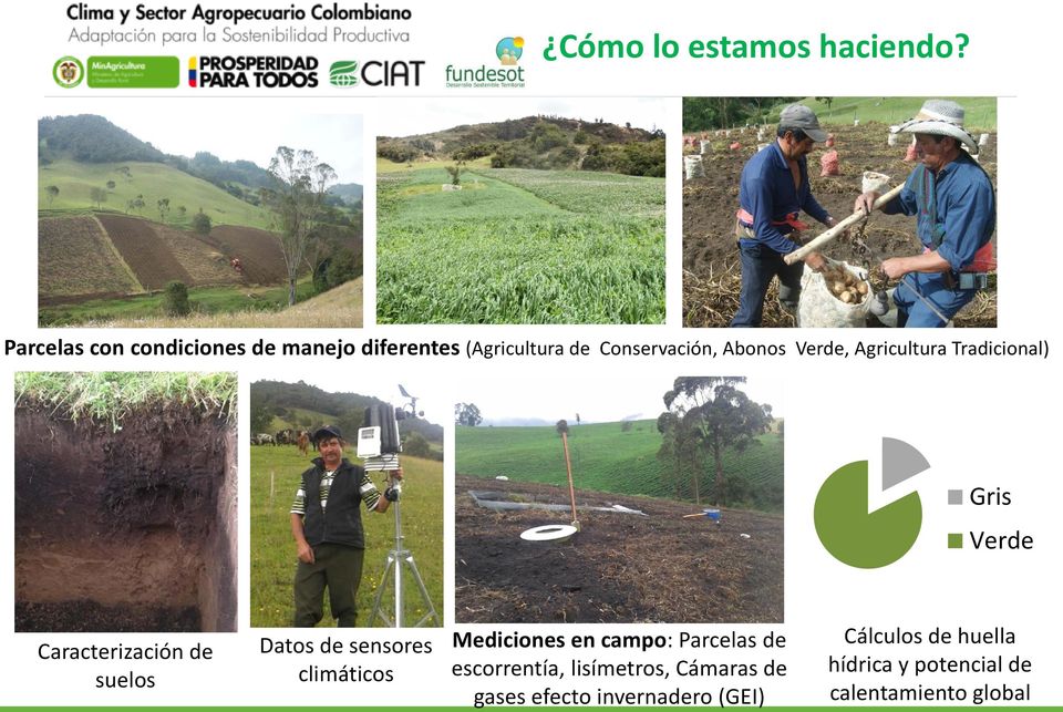 Agricultura Tradicional) Gris Verde Caracterización de suelos Datos de sensores climáticos