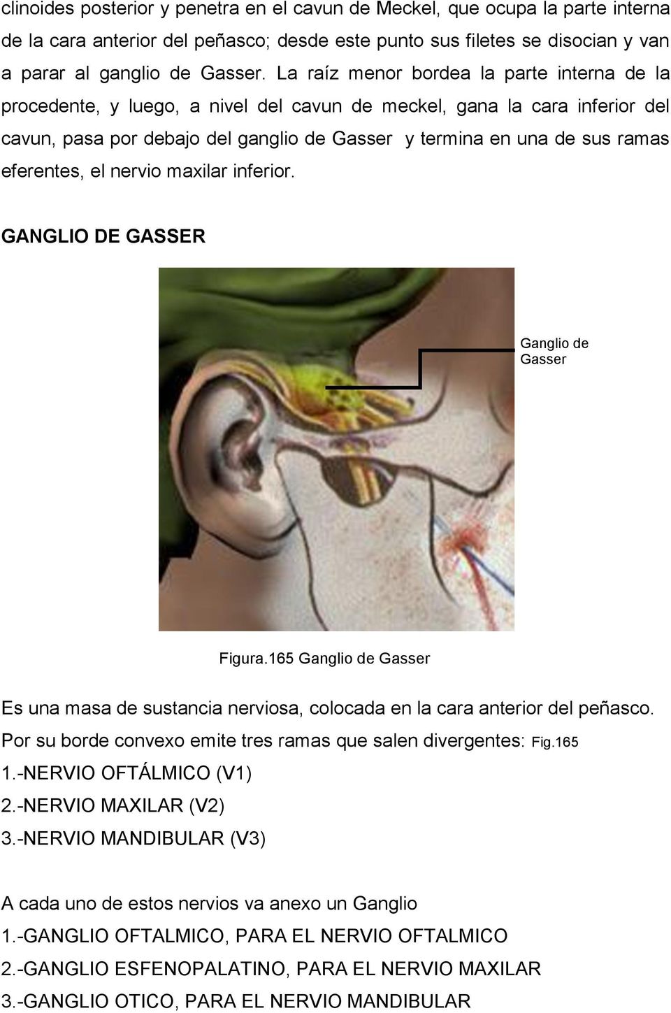 eferentes, el nervio maxilar inferior. GANGLIO DE GASSER Ganglio de Gasser Figura.165 Ganglio de Gasser Es una masa de sustancia nerviosa, colocada en la cara anterior del peñasco.