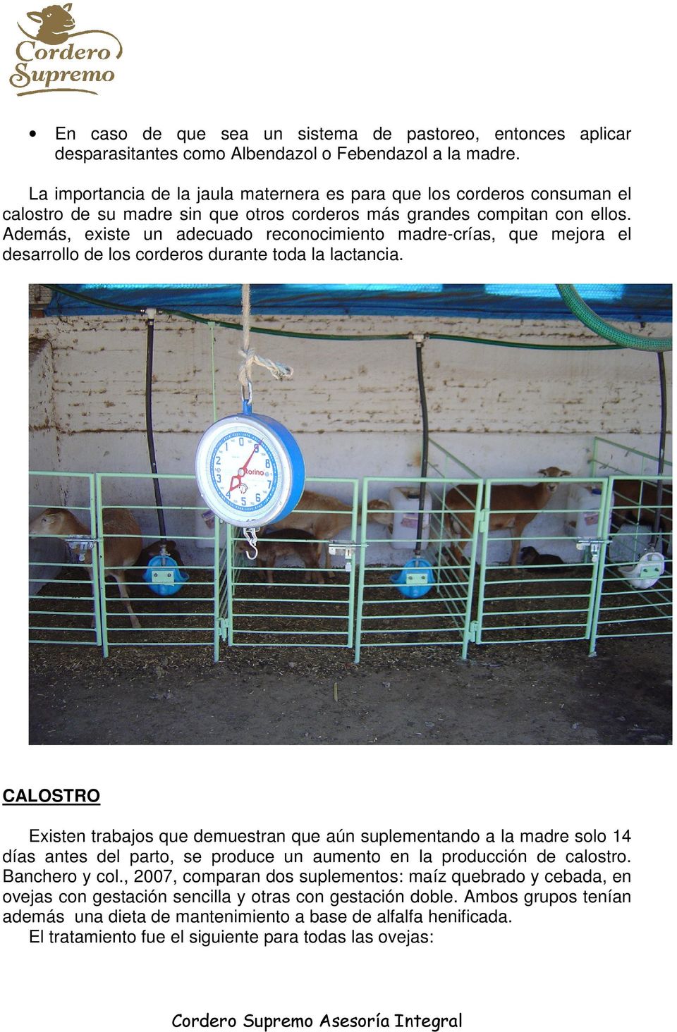 Además, existe un adecuado reconocimiento madre-crías, que mejora el desarrollo de los corderos durante toda la lactancia.