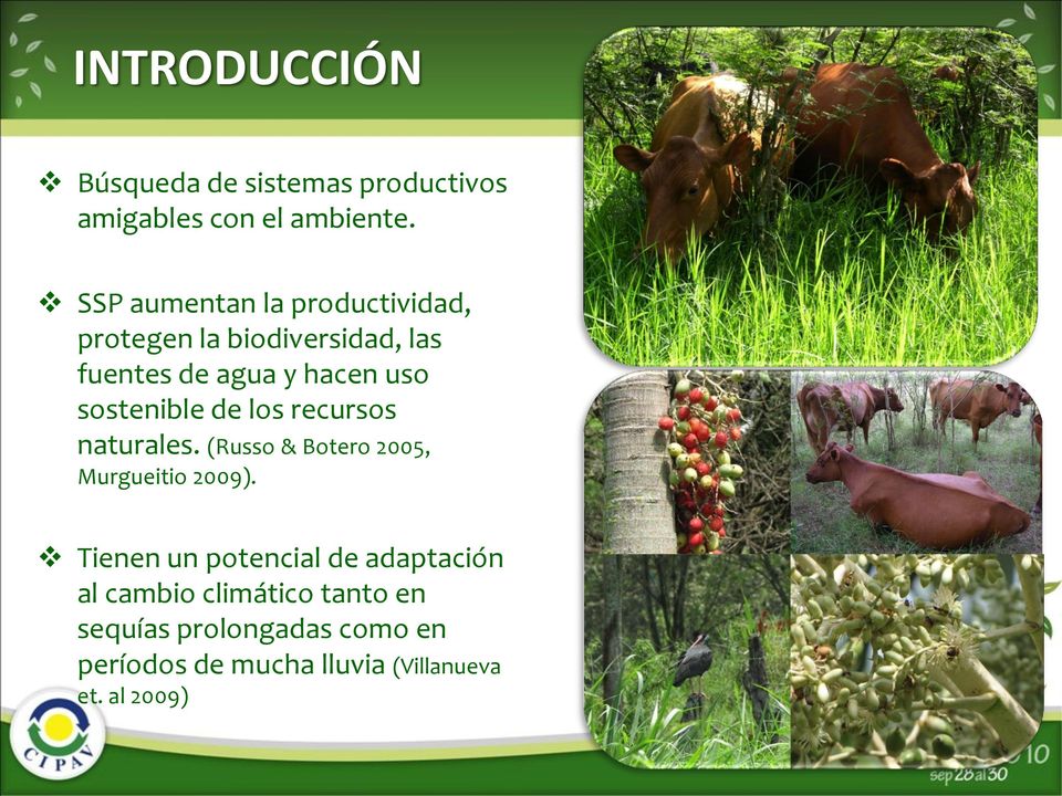 sostenible de los recursos naturales. (Russo & Botero 2005, Murgueitio 2009).