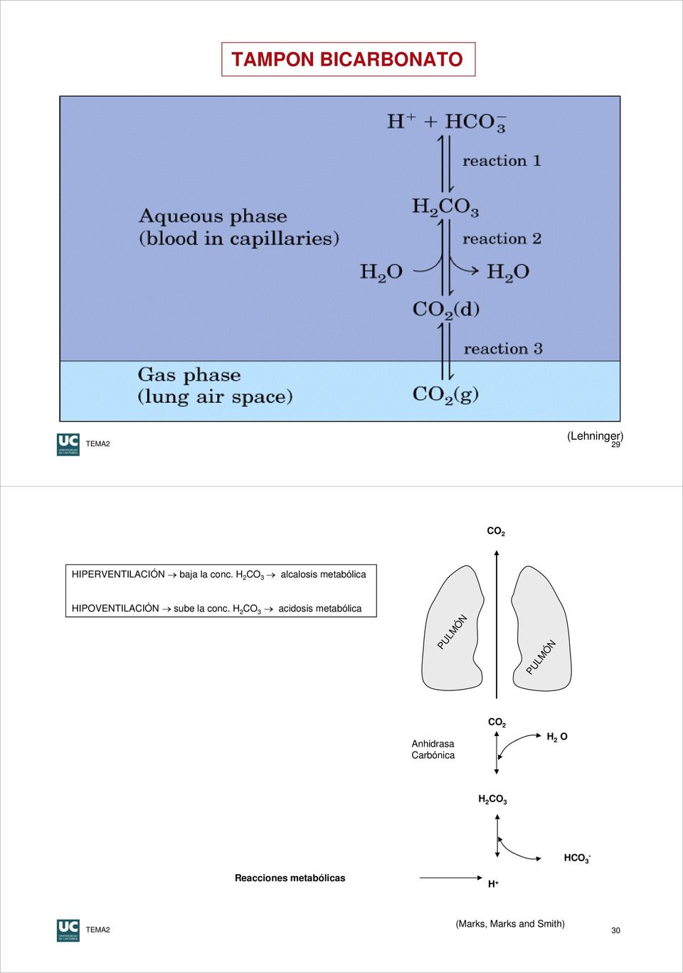 H 2 CO 3 acidosis metabólica PULMÓN PULMÓN Anhidrasa Carbónica CO 2 H 2
