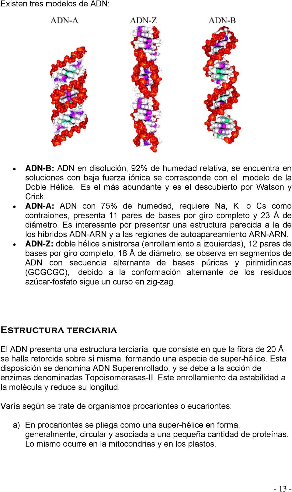 Es interesante por presentar una estructura parecida a la de los híbridos ADN-ARN y a las regiones de autoapareamiento ARN-ARN.