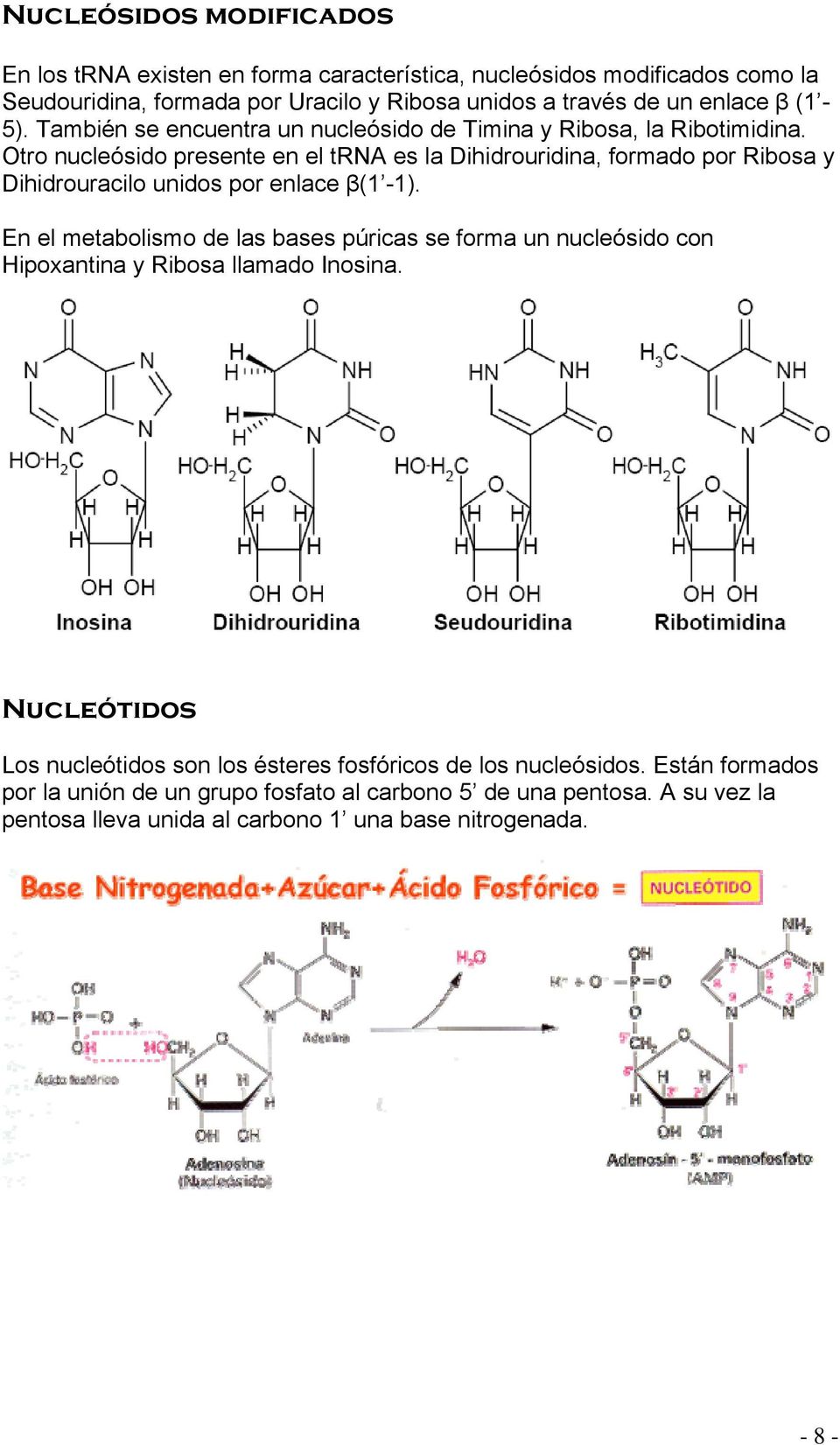 Otro nucleósido presente en el trna es la Dihidrouridina, formado por Ribosa y Dihidrouracilo unidos por enlace β(1-1).