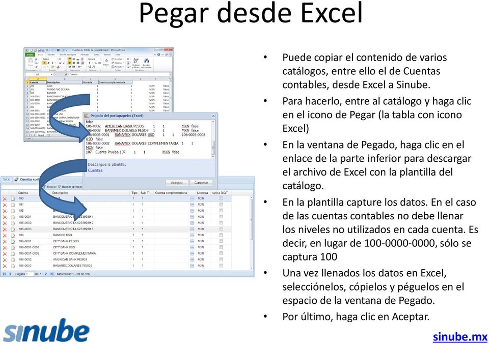 descargar el archivo de Excel con la plantilla del catálogo. En la plantilla capture los datos.