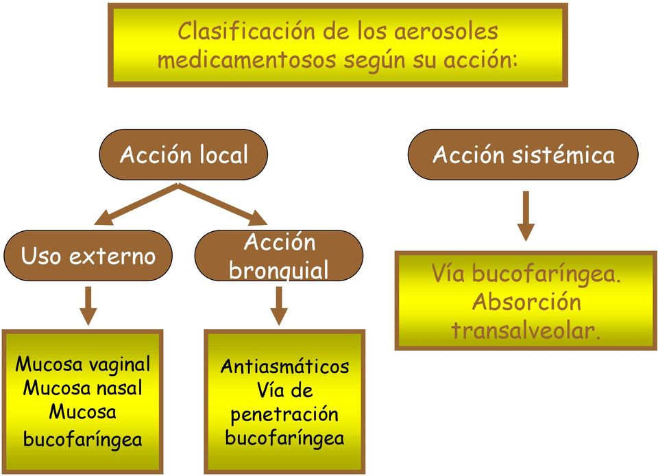 nasal Mucosa bucofaríngea Acción bronquial Antiasmáticos Vía de