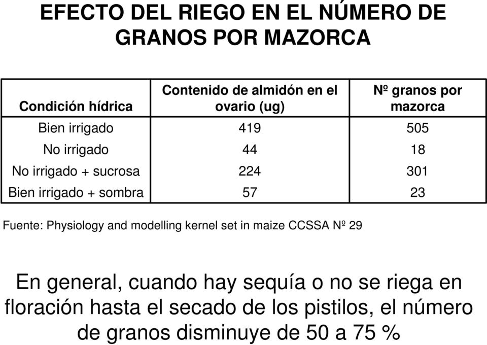 por mazorca 505 18 301 23 Fuente: Physiology and modelling kernel set in maize CCSSA Nº 29 En general,