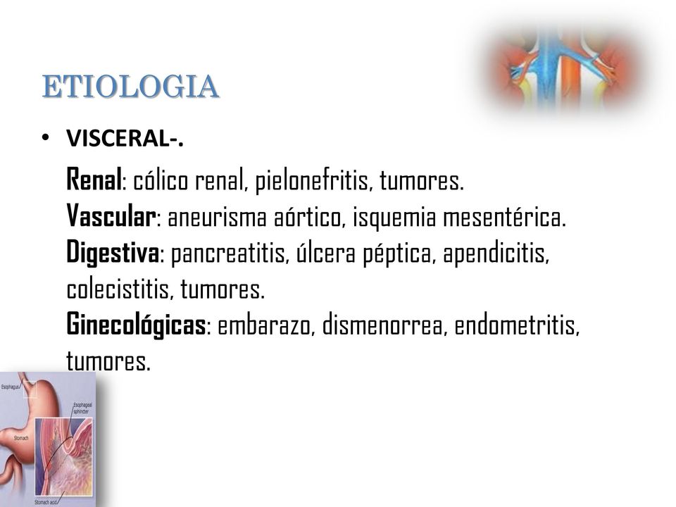 Vascular: aneurisma aórtico, isquemia mesentérica.