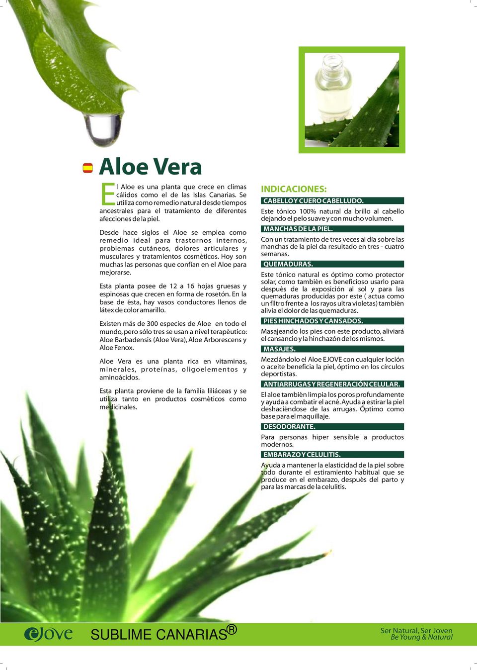 Desde hace siglos el Aloe se emplea como remedio ideal para trastornos internos, problemas cutáneos, dolores articulares y musculares y tratamientos cosméticos.