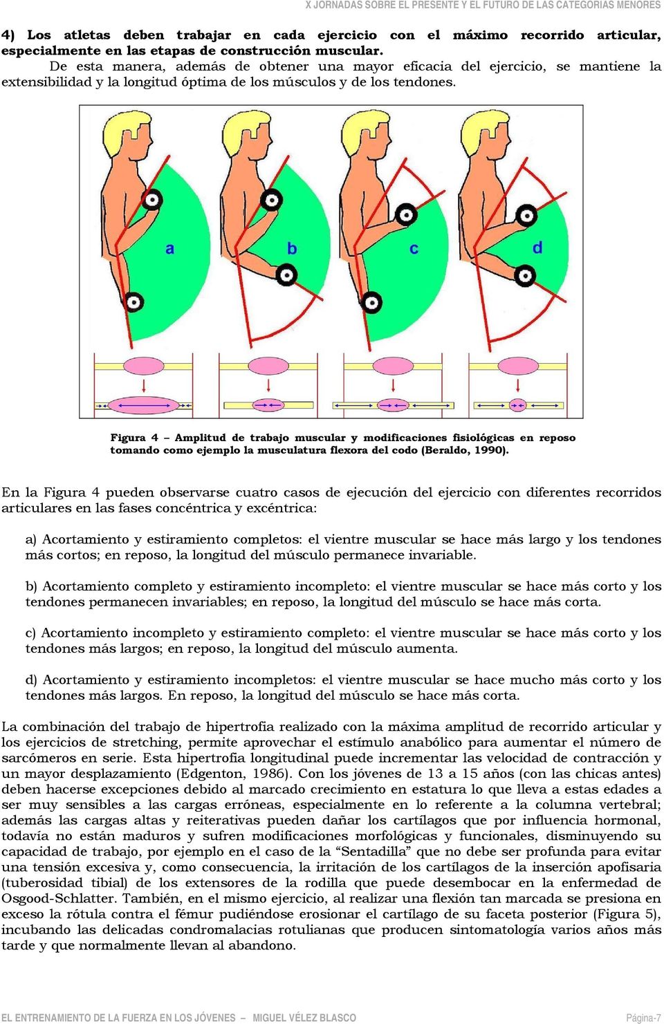 Figura 4 Amplitud de trabajo muscular y modificaciones fisiológicas en reposo tomando como ejemplo la musculatura flexora del codo (Beraldo, 1990).