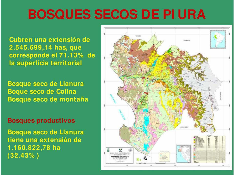 13% de la superficie territorial Bosque seco de Llanura Boque seco de