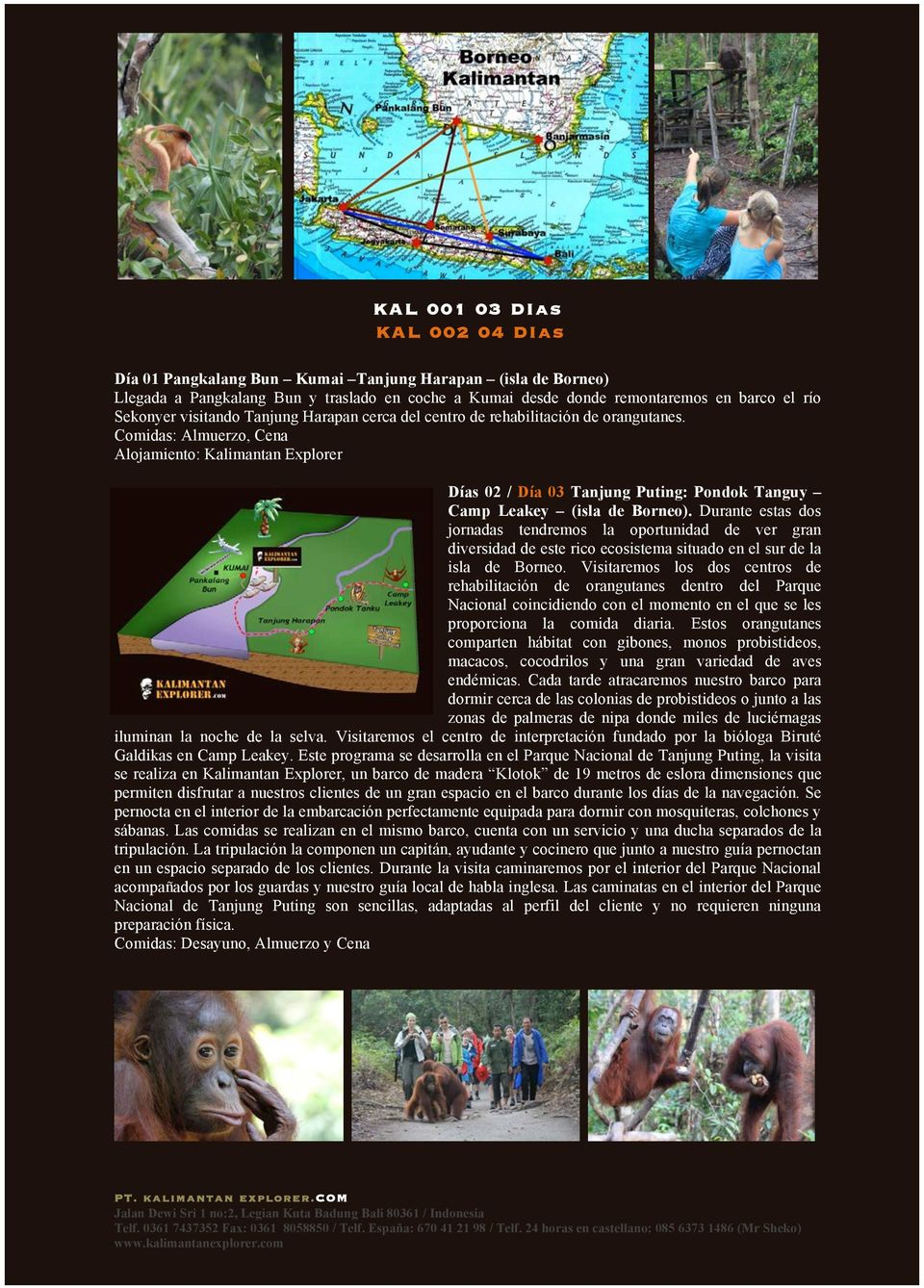 Comidas: Almuerzo, Cena Alojamiento: Kalimantan Explorer Días 02 / Día 03 Tanjung Puting: Pondok Tanguy Camp Leakey (isla de Borneo).