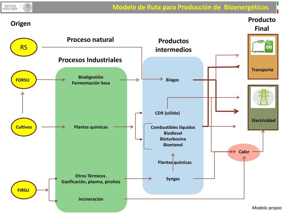 Cultivos Plantas químicas Combustibles líquidos Biodiesel Bioturbosina Bioetanol Calor Electricidad