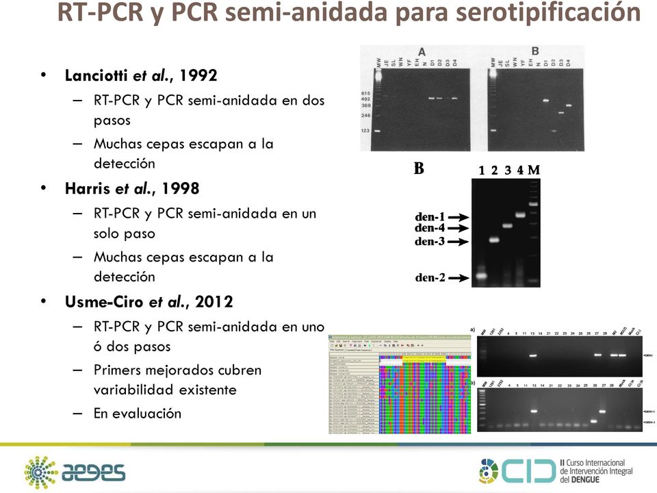 al., 1998 RT-PCR y PCR semi-anidada en un solo paso Muchas cepas escapan a la detección