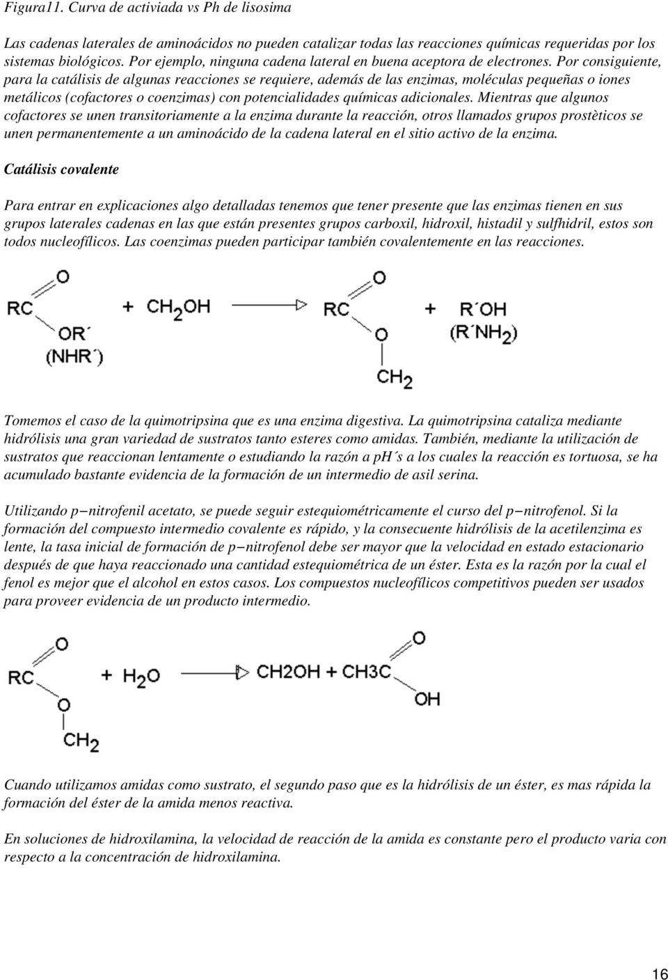 Por consiguiente, para la catálisis de algunas reacciones se requiere, además de las enzimas, moléculas pequeñas o iones metálicos (cofactores o coenzimas) con potencialidades químicas adicionales.