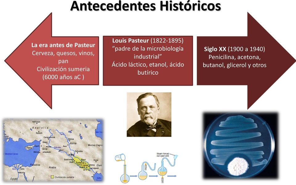 (1822-1895) padre de la microbiología industrial Ácido láctico,