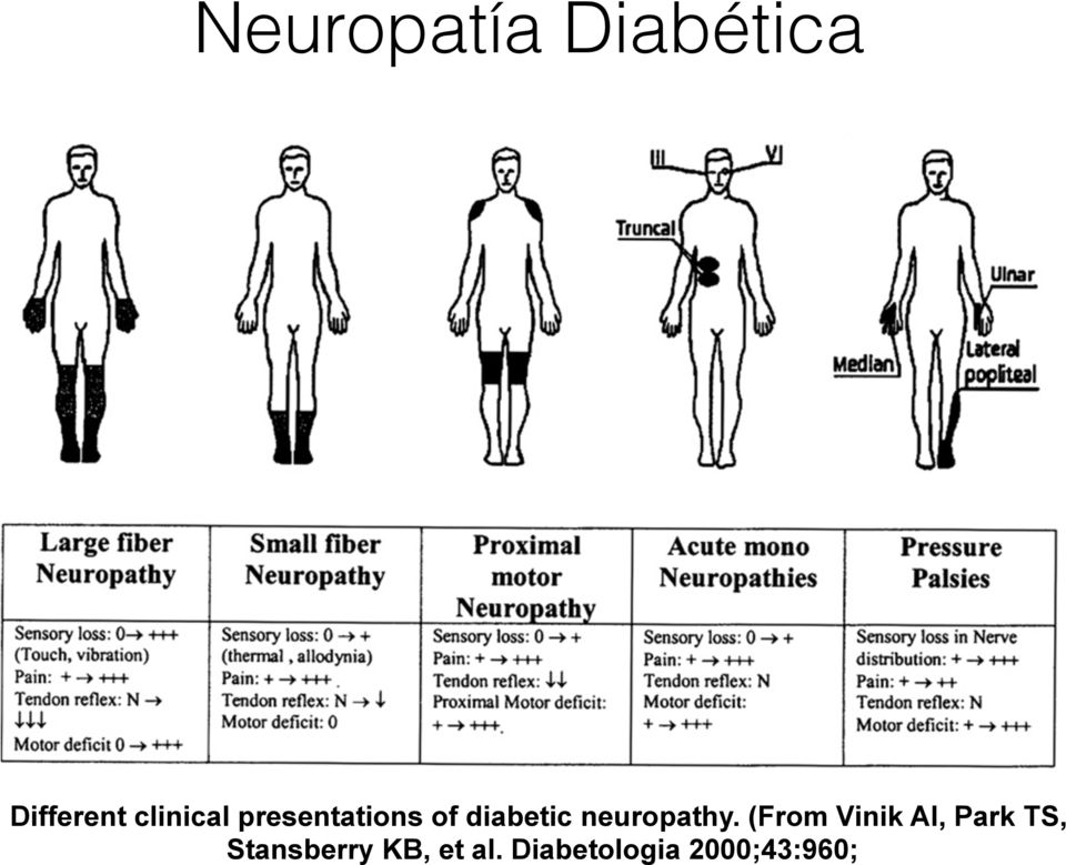 polineuropatia diabetica pdf