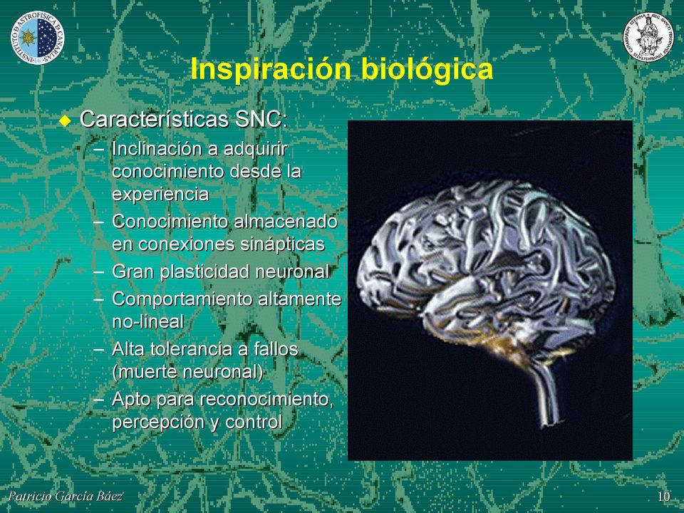 sinápticas Gran plasticidad neuronal Comportamiento altamente no-lineal