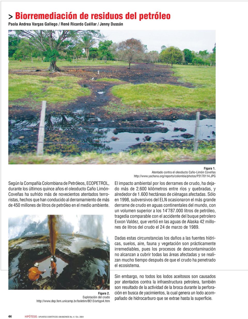 jpg Según la Compañía Colombiana de Petróleos, ECOPETROL, durante los últimos quince años el oleoducto Caño LimónCoveñas ha sufrido más de novecientos atentados terroristas, hechos que han conducido