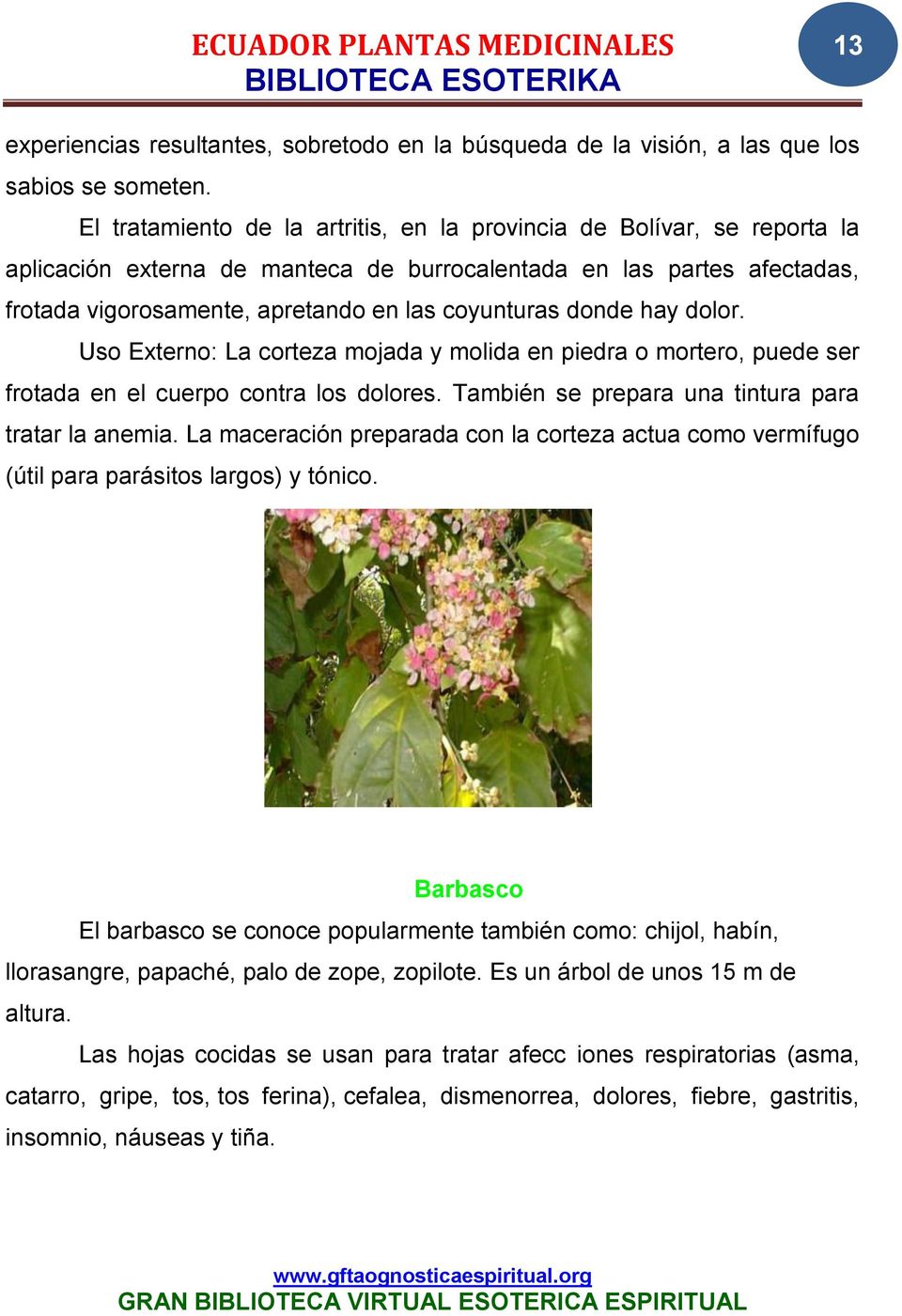 Ecuador Plantas Medicinales Biblioteca Esoterika Pdf Descargar Libre