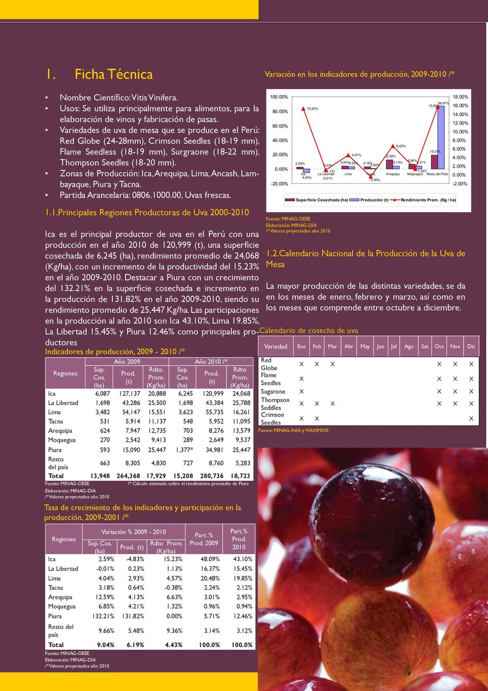 Variedades de uva de mesa que se produce en el Perú: Red Globe (24-28mm), Crimson Seedles (18-19 mm), Flame Seedless (18-19 mm), Surgraone (18-22 mm), Thompson Seedles (18-20 mm).