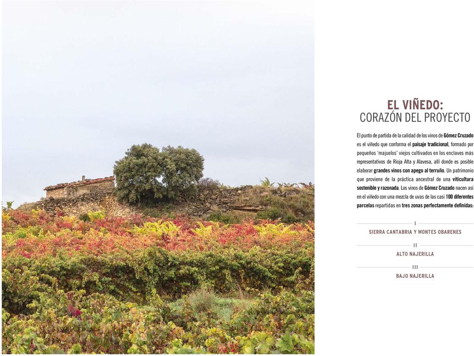 terruño. Un patrimonio que proviene de la práctica ancestral de una viticultura sostenible y razonada.