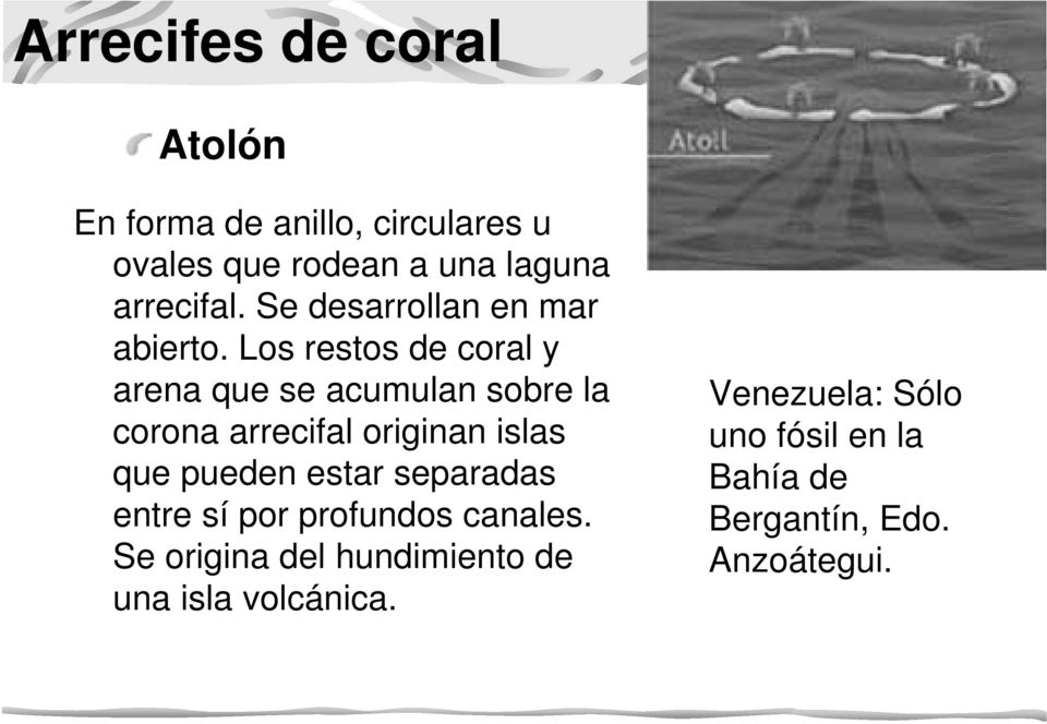 Los restos de coral y arena que se acumulan sobre la corona arrecifal originan islas que