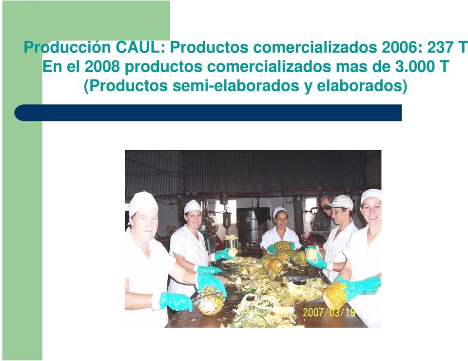 2008 productos comercializados mas