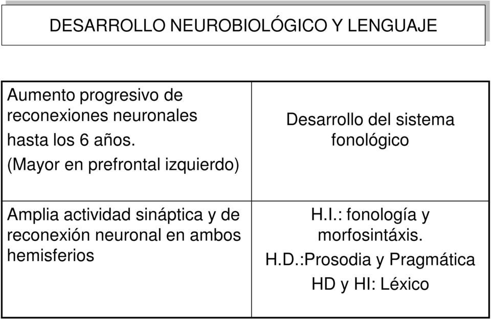 (Mayor en prefrontal izquierdo) Desarrollo del sistema fonológico Amplia