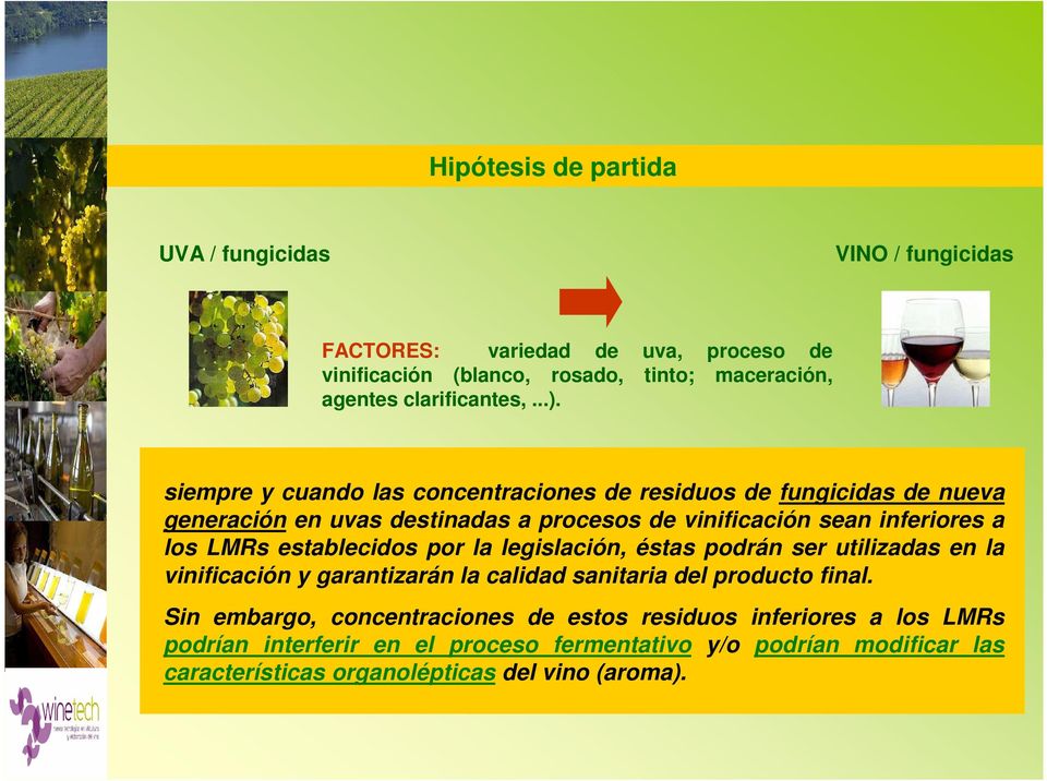 siempre y cuando las concentraciones de residuos de fungicidas de nueva generación en uvas destinadas a procesos de vinificación sean inferiores a los LMRs