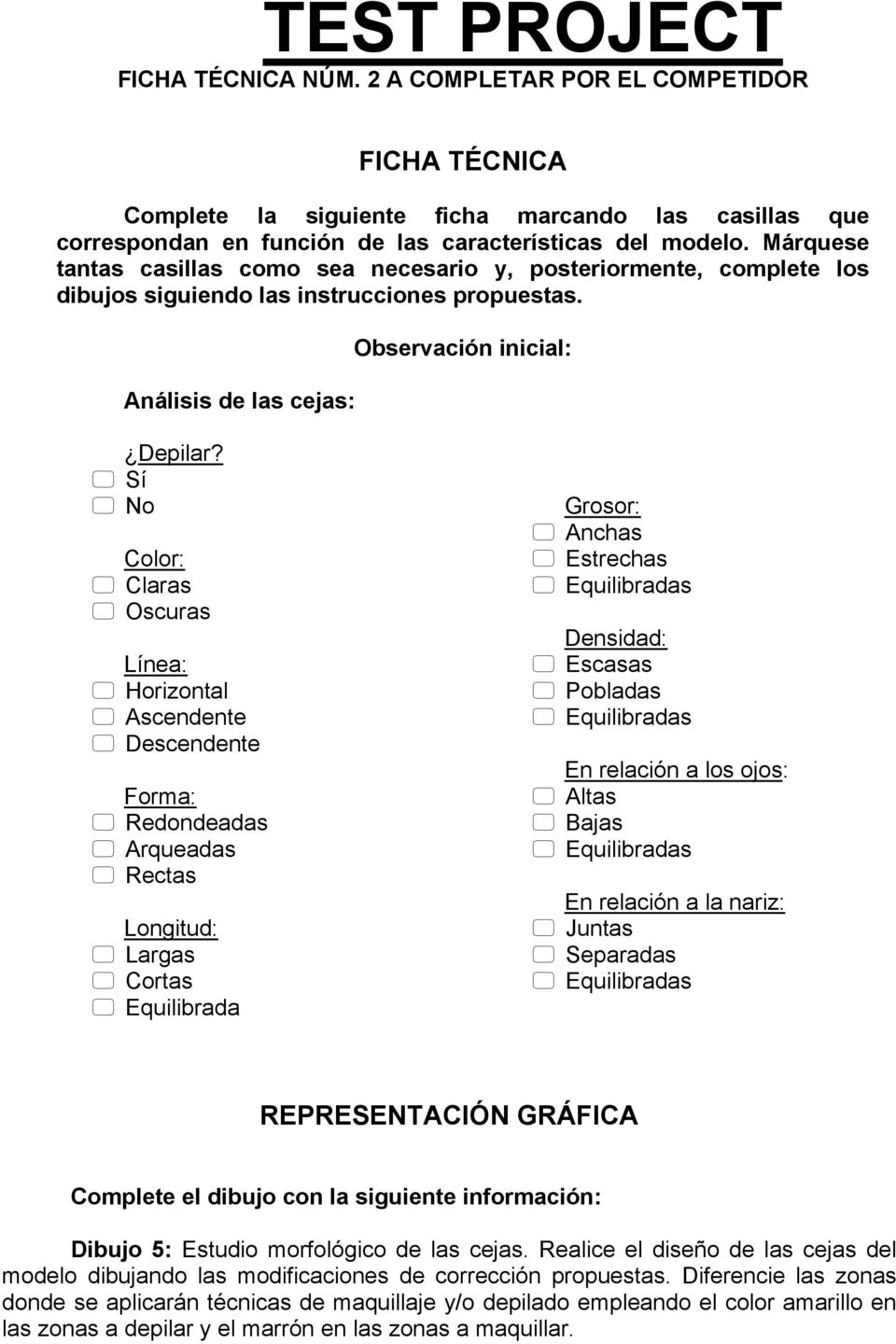 TEST PROJECT REALIZACIÓN DE MAQUILLAJE SOCIAL CON TRANSFORMACION A FANTASIA  - PDF Descargar libre
