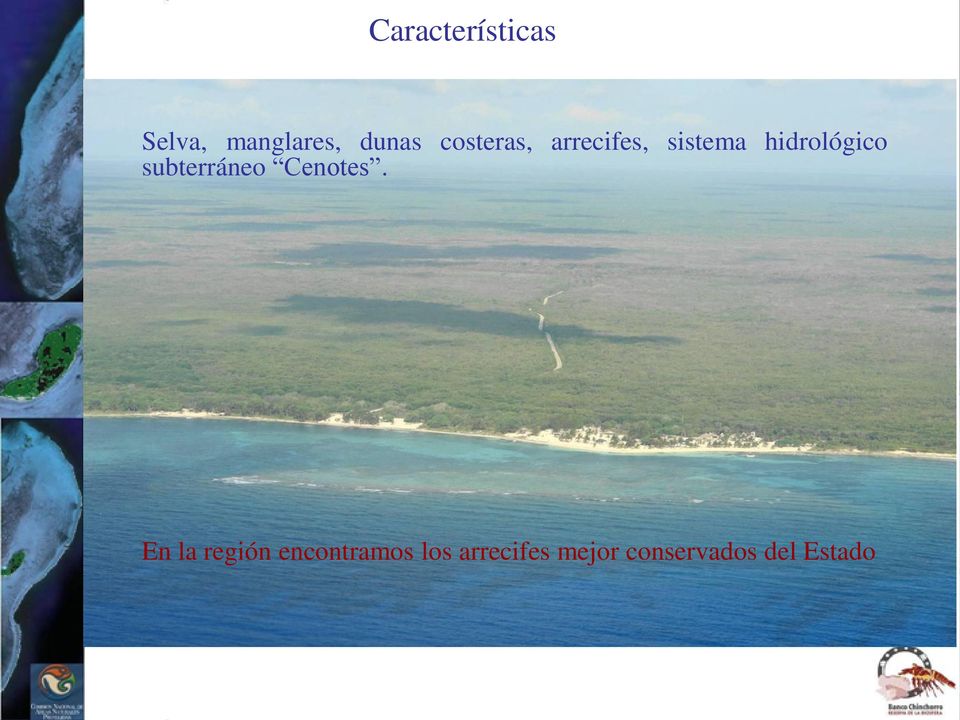 subterráneo Cenotes.