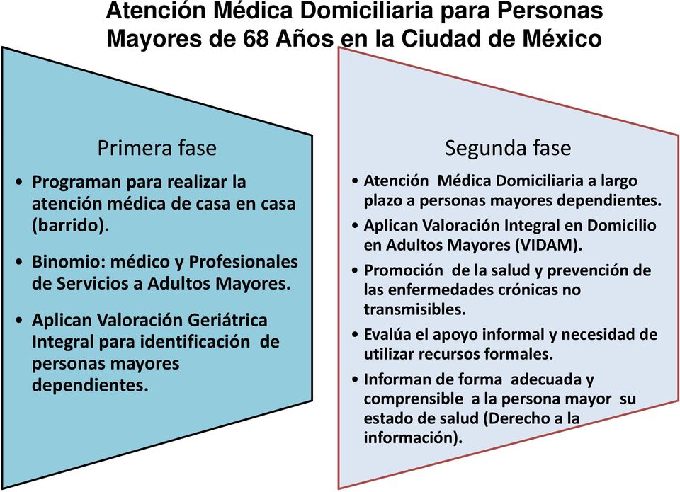 Segunda fase Atención Médica Domiciliaria a largo plazoa a personas mayores dependientes. Aplican Valoración Integral en Domicilio en Adultos Mayores (VIDAM).