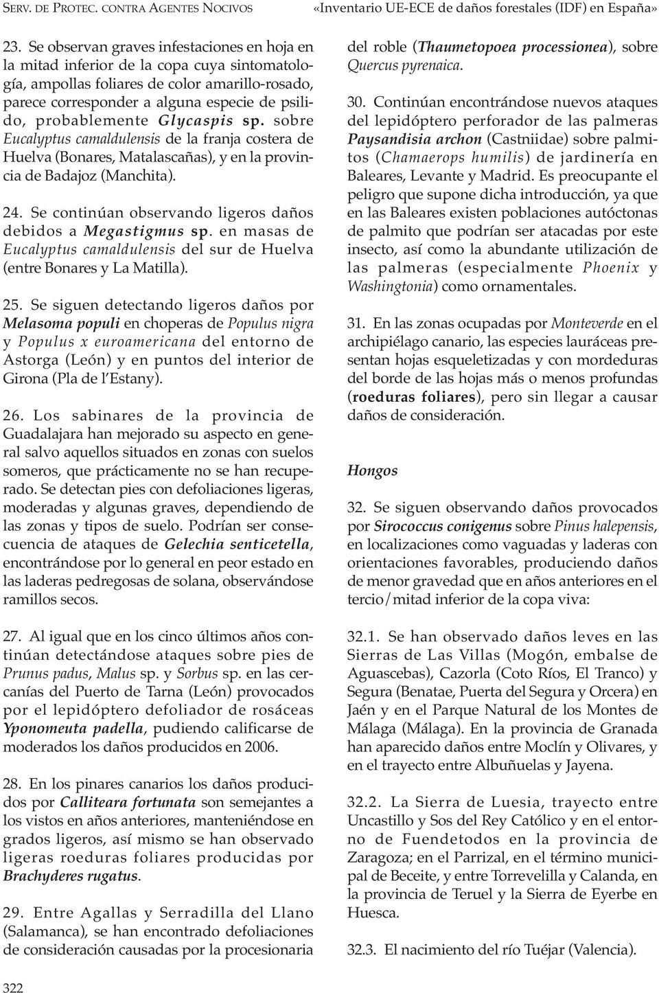 probablemente Glycaspis sp. sobre Eucalyptus camaldulensis de la franja costera de Huelva (Bonares, Matalascañas), y en la provincia de Badajoz (Manchita). 24.