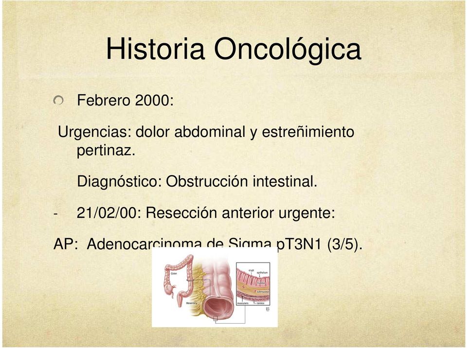 Diagnóstico: Obstrucción intestinal.