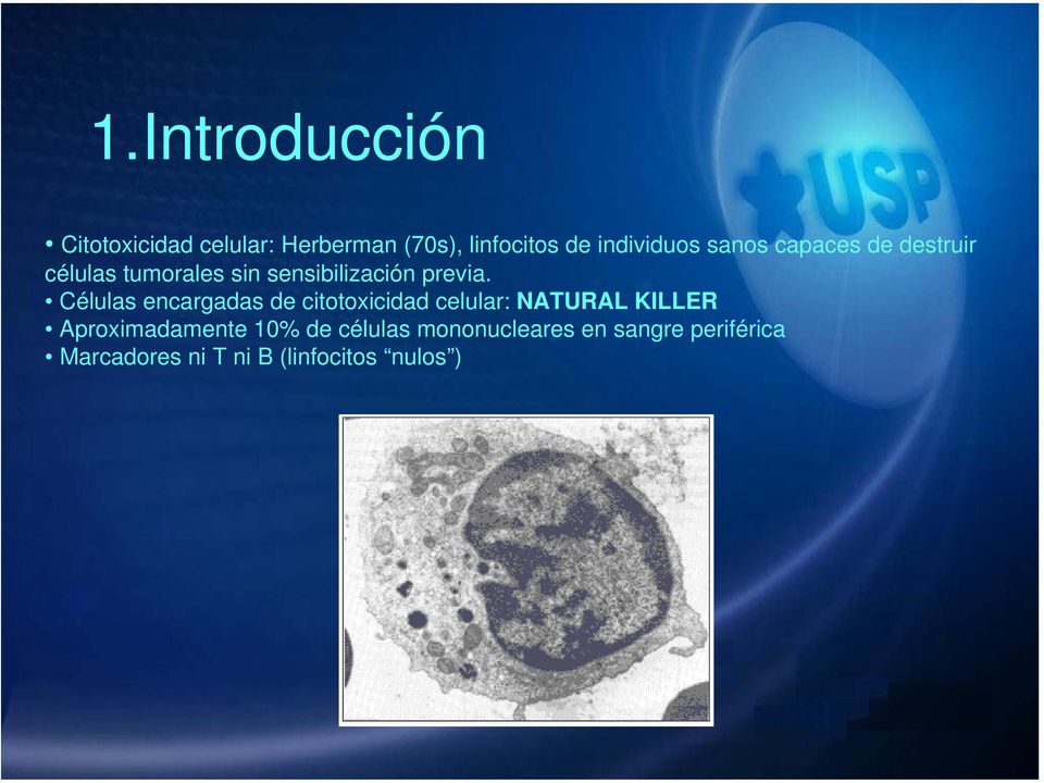 Células encargadas de citotoxicidad celular: NATURAL KILLER Aproximadamente 10%