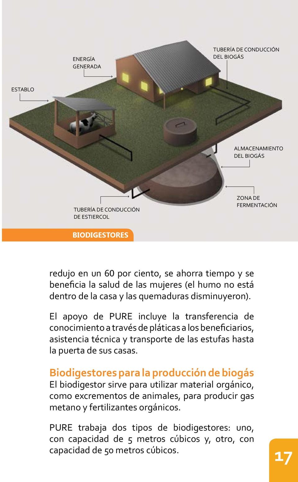 Biodigestores para la producción de biogás como excrementos de animales, para producir