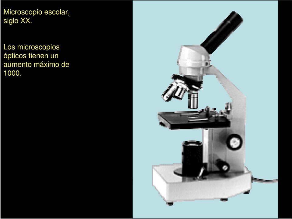 Los microscopios