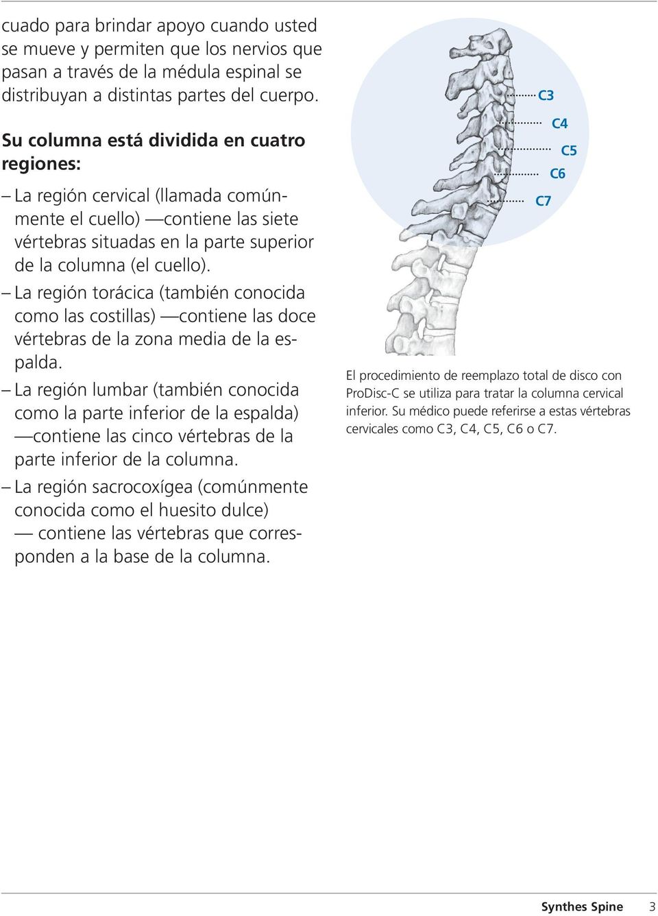 La región torácica (también conocida como las costillas) contiene las doce vértebras de la zona media de la espalda.