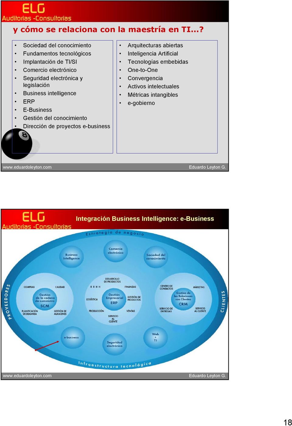 electrónica y legislación Business intelligence ERP E-Business Gestión del conocimiento Dirección de proyectos