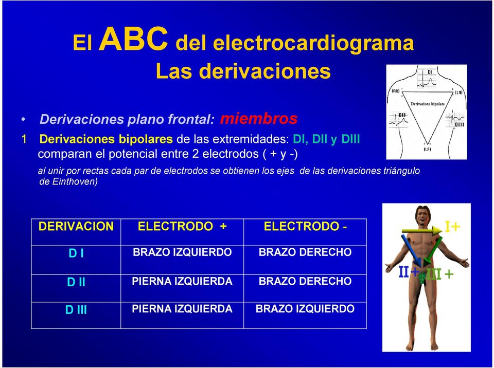 de electrodos se obtienen los ejes de las derivaciones triángulo de Einthoven) DERIVACION ELECTRODO + ELECTRODO
