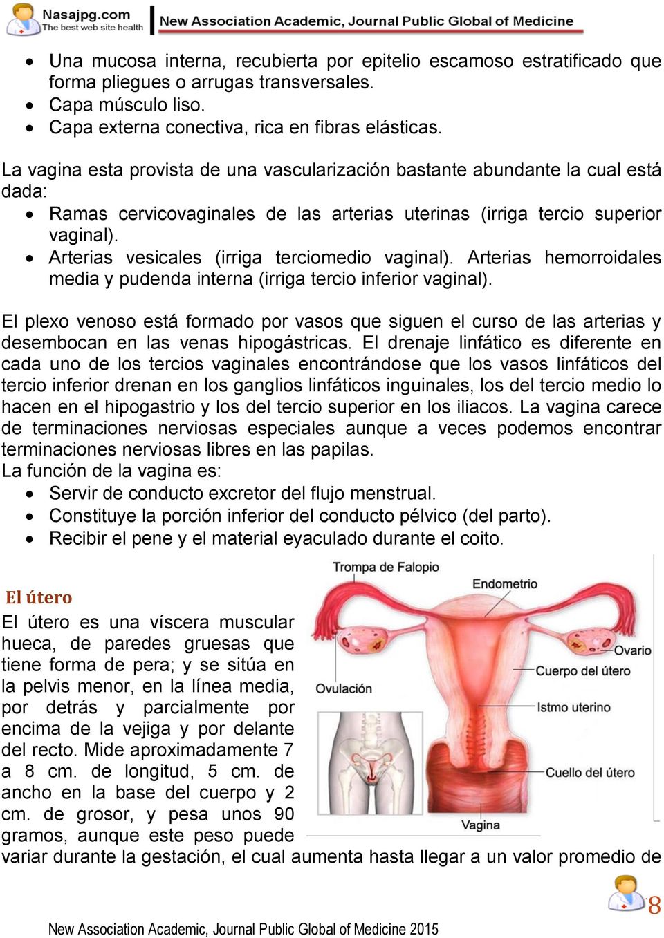 Arterias vesicales (irriga terciomedio vaginal). Arterias hemorroidales media y pudenda interna (irriga tercio inferior vaginal).