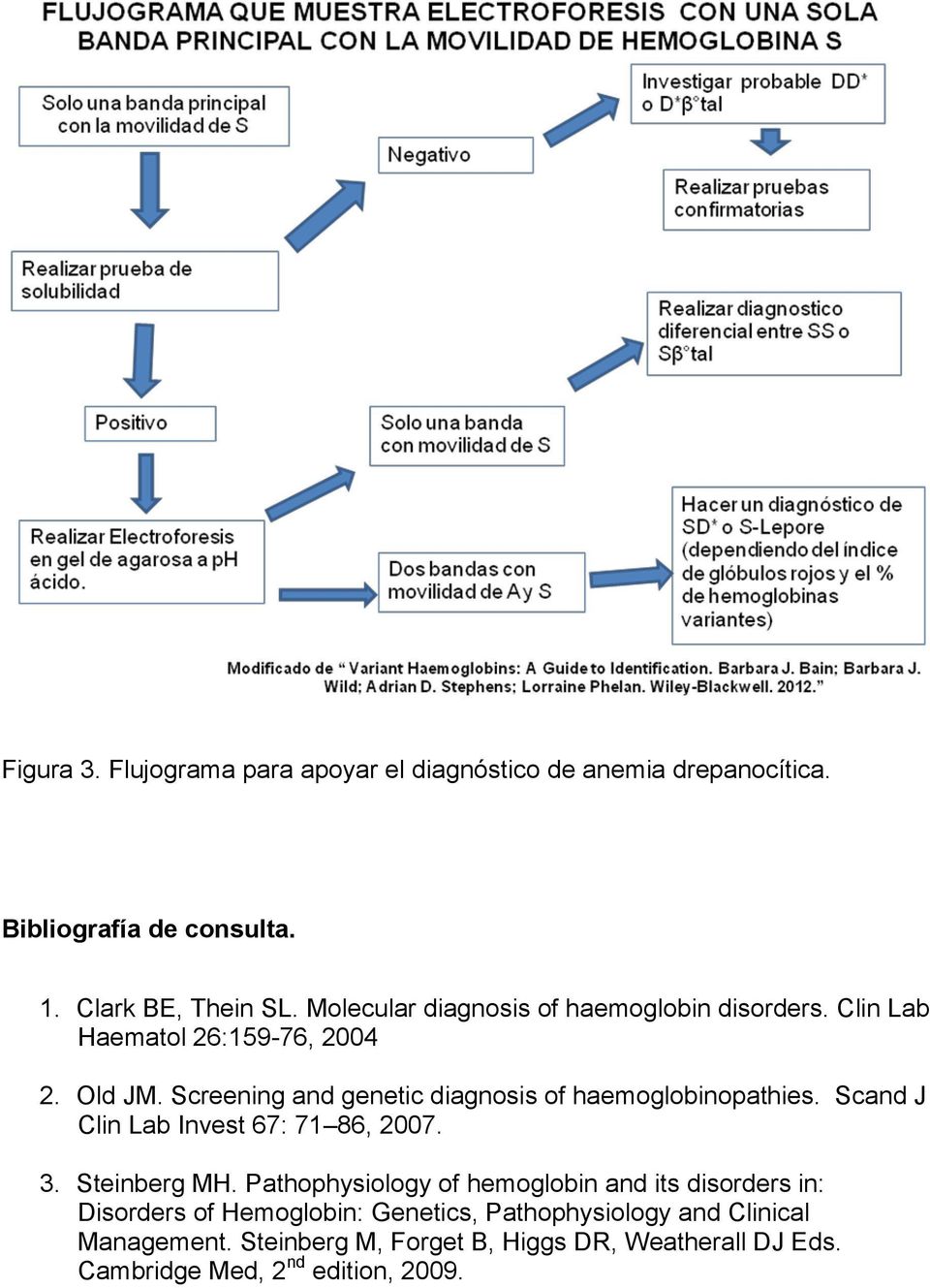 Screening and genetic diagnosis of haemoglobinopathies. Scand J Clin Lab Invest 67: 71 86, 2007. 3. Steinberg MH.