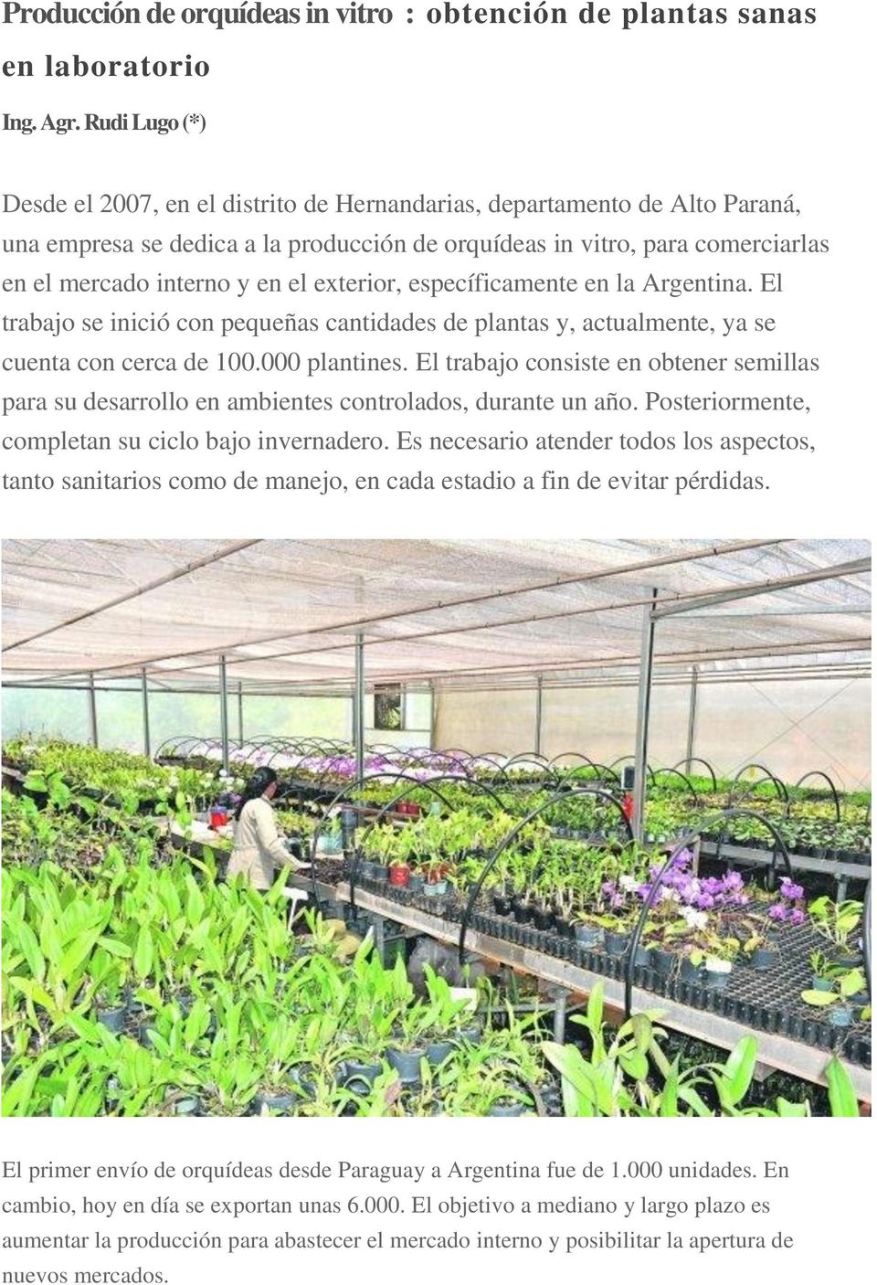 exterior, específicamente en la Argentina. El trabajo se inició con pequeñas cantidades de plantas y, actualmente, ya se cuenta con cerca de 100.000 plantines.