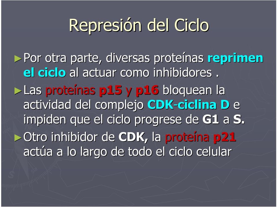 Las proteínas p15 y p16 bloquean la actividad del complejo CDK-ciclina D e
