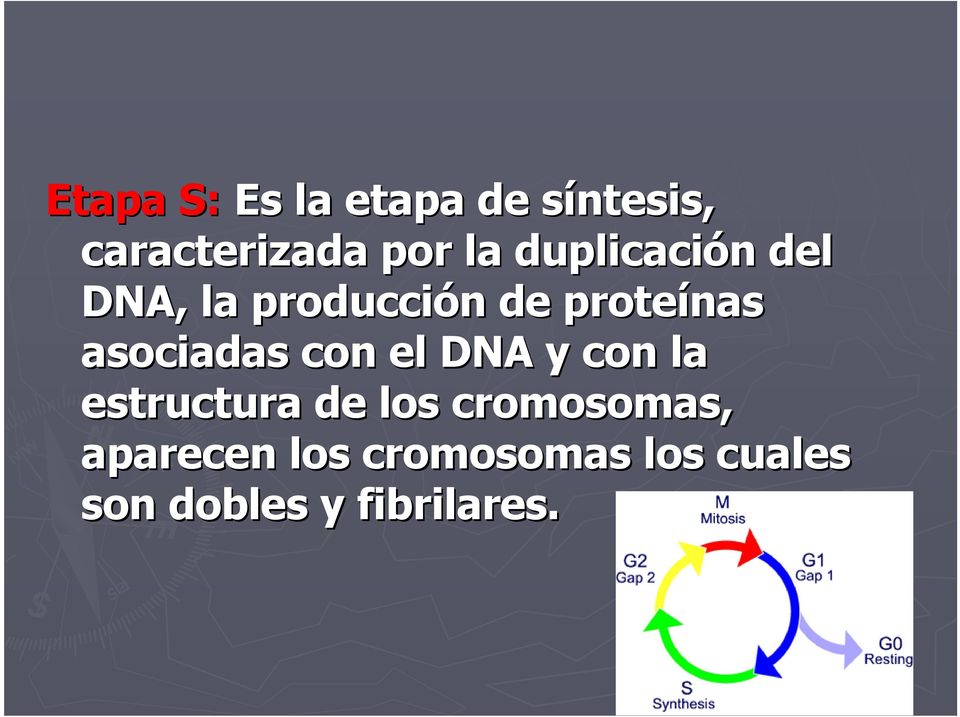 asociadas con el DNA y con la estructura de los