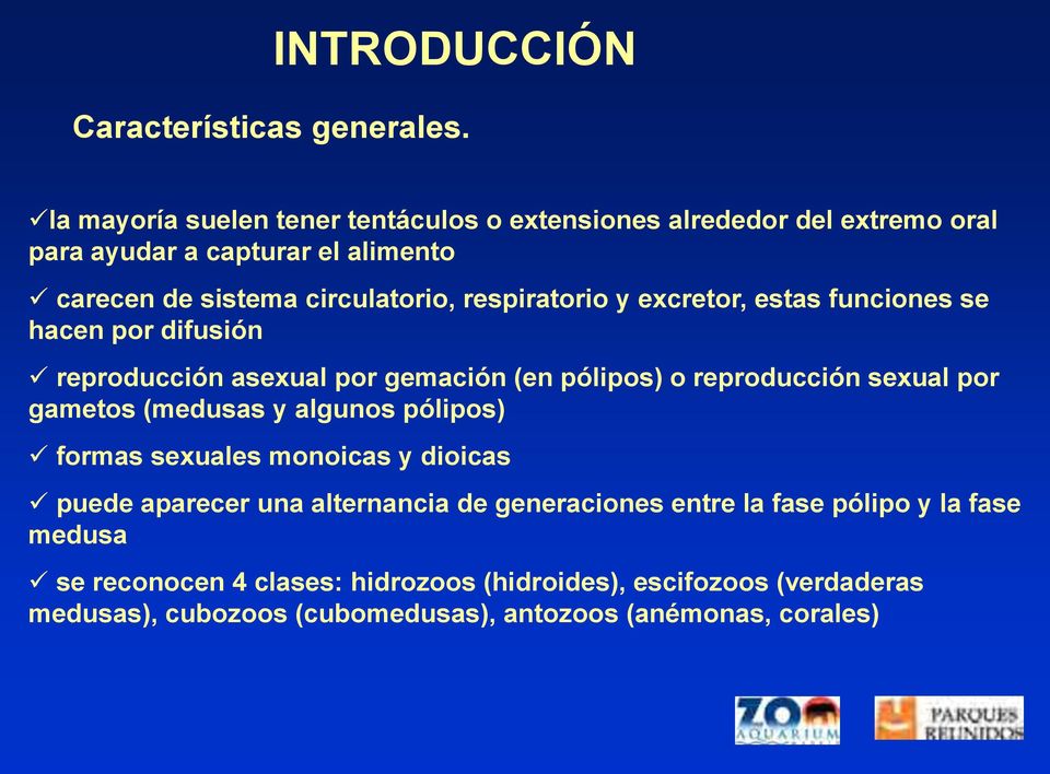 respiratorio y excretor, estas funciones se hacen por difusión reproducción asexual por gemación (en pólipos) o reproducción sexual por gametos