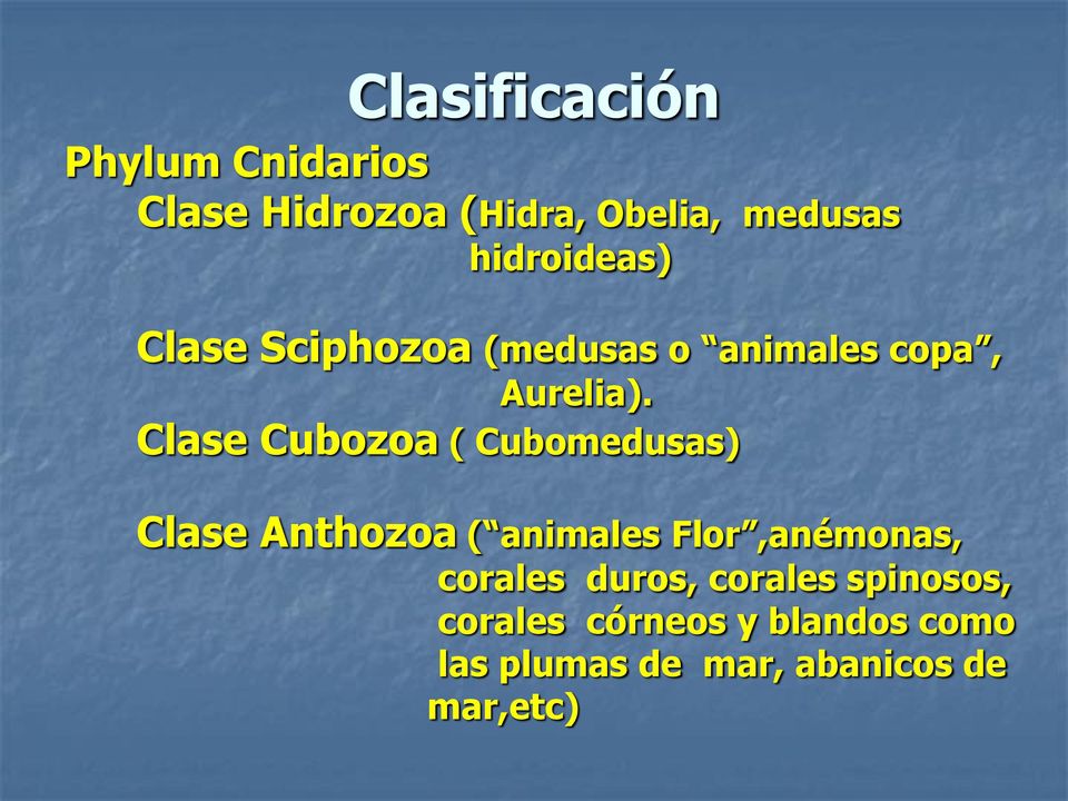 Clase Cubozoa ( Cubomedusas) Clase Anthozoa ( animales Flor,anémonas,