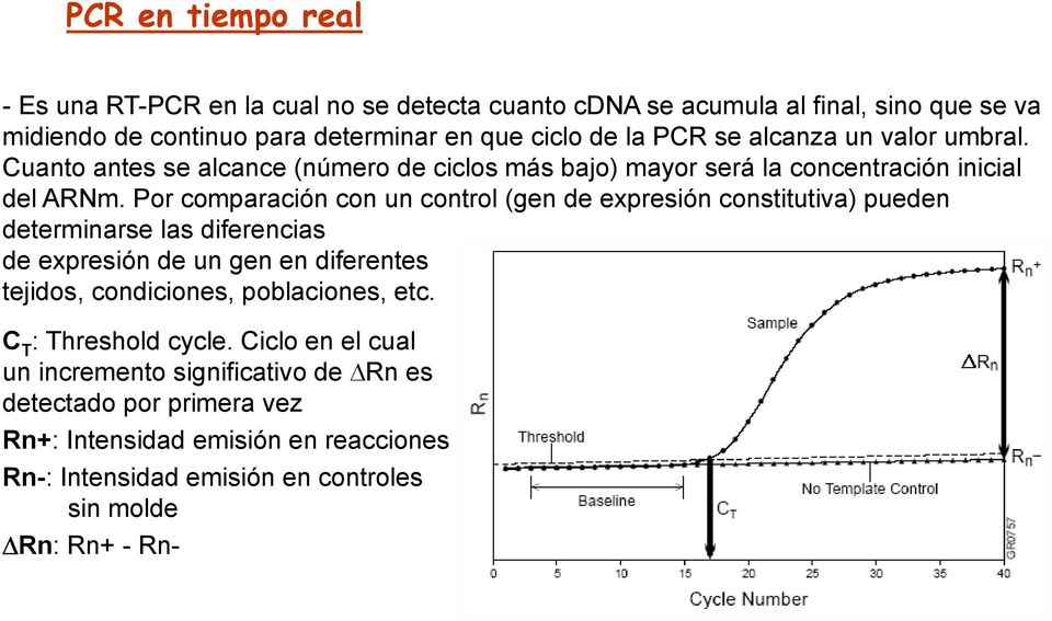 Por comparación con un control (gen de expresión constitutiva) pueden determinarse las diferencias de expresión de un gen en diferentes tejidos, condiciones,