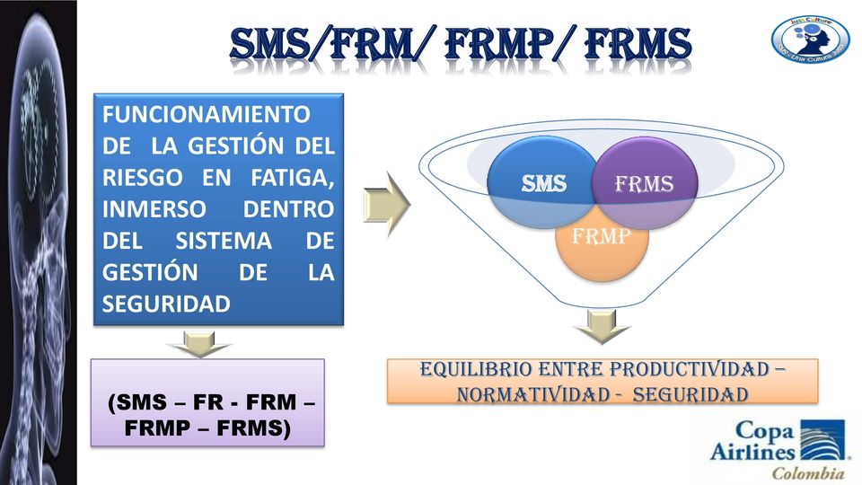 GESTIÓN DE LA SEGURIDAD SMS FRMP FRMS (SMS FR - FRM