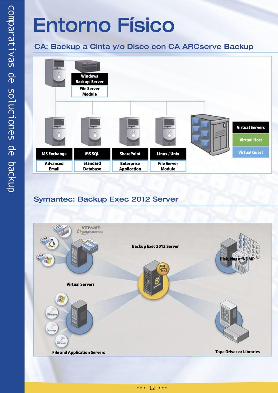 Application Linux / Unix File Server Module Symantec: Backup Exec 2012 Server Virtual Servers Virtual Host